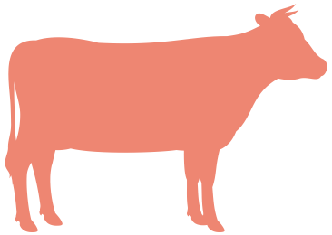Grafik eines Rindes