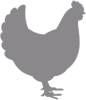 Grafik eines Huhns