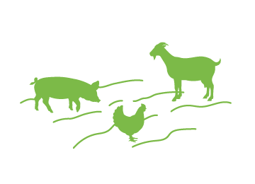Illustration mit Tieren